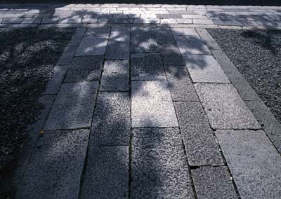 cr100.jpg