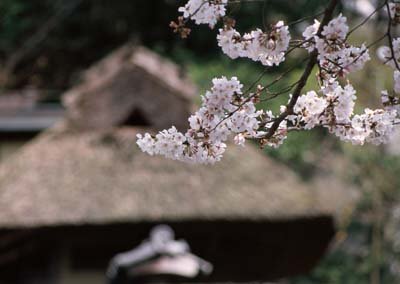 cr120.jpg