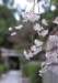 cr124_small.jpg