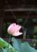 cr134_small.jpg