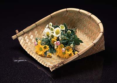 cu073.jpg