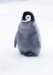 cy016_small.jpg