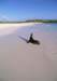 cy084_small.jpg