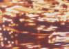 dp064_small.jpg