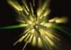 dp104_small.jpg