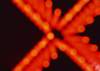 dp108_small.jpg