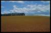 img0002pcd_small.jpg