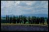 img0003pcd_small.jpg