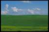 img0005pcd_small.jpg