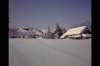 img0007pcd_small.jpg
