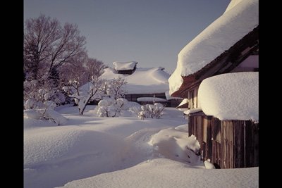 img0008pcd.jpg