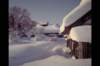 img0008pcd_small.jpg