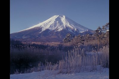 img0009pcd.jpg