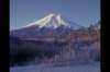img0009pcd_small.jpg