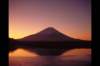 img0011pcd_small.jpg