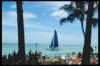 img0016pcd_small.jpg