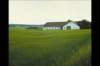 img0025pcd_small.jpg