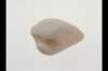img0004pcd_small.jpg