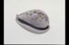 img0005pcd_small.jpg
