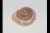 img0008pcd_small.jpg