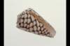 img0011pcd_small.jpg