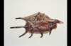 img0012pcd_small.jpg