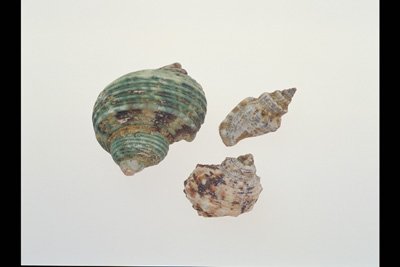 img0014pcd.jpg