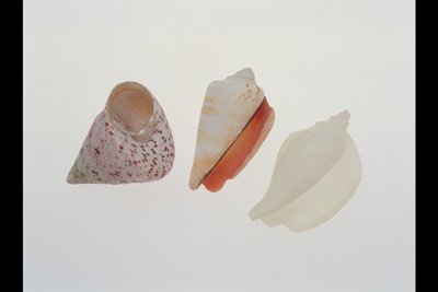 img0015pcd.jpg