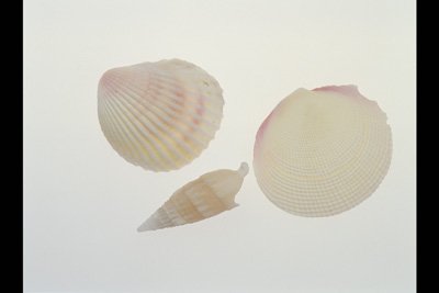 img0018pcd.jpg