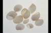 img0020pcd_small.jpg