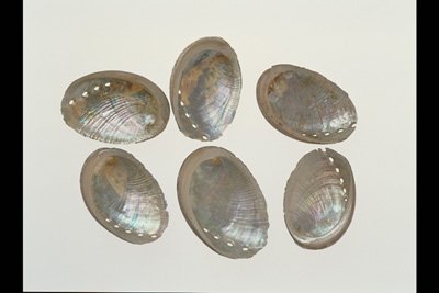 img0021pcd.jpg