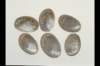 img0021pcd_small.jpg