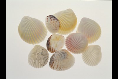 img0022pcd.jpg