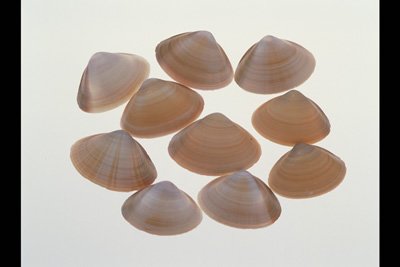 img0023pcd.jpg