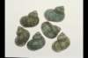 img0024pcd_small.jpg
