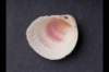 img0027pcd_small.jpg
