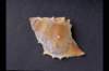 img0033pcd_small.jpg