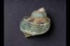 img0039pcd_small.jpg