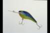 img0059pcd_small.jpg