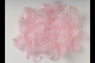 img0073pcd.jpg