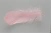 img0075pcd_small.jpg