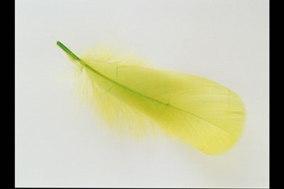 img0079pcd.jpg