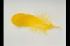 img0080pcd_small.jpg