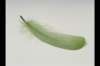 img0081pcd_small.jpg