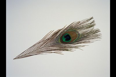 img0082pcd.jpg