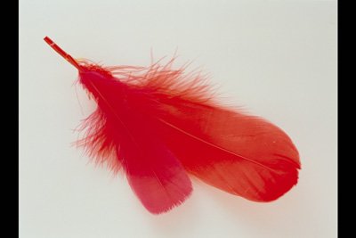 img0086pcd.jpg