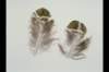 img0088pcd_small.jpg