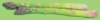 c003011_small.jpg