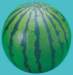 c003029_small.jpg