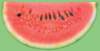 c003031_small.jpg